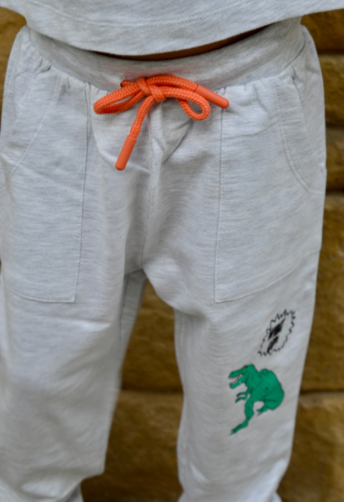 Grey milange Dinosaurs Unisex Pant sets