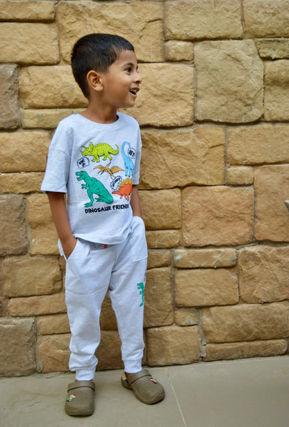 Grey milange Dinosaurs Unisex Pant sets