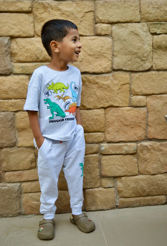 Grey milange Dinosaurs Unisex Pant sets