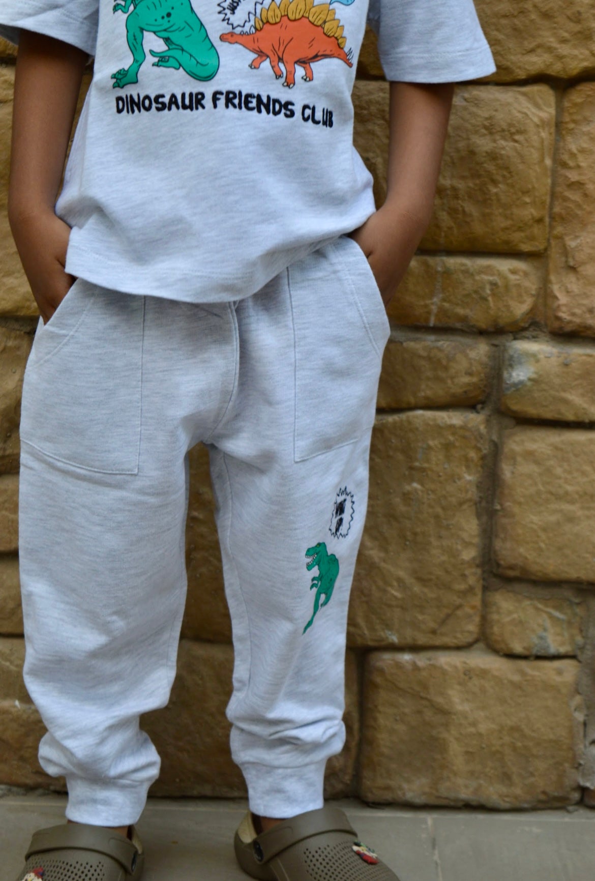 Grey milange Dinosaurs Unisex Pant sets